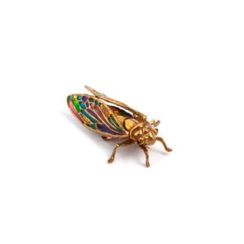Cantarella Spilla Multicolor