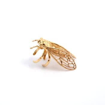 Cantarella Anello Oro