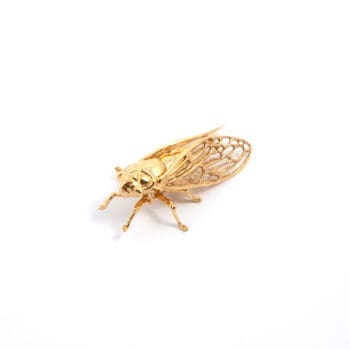Cantarella Spilla Oro