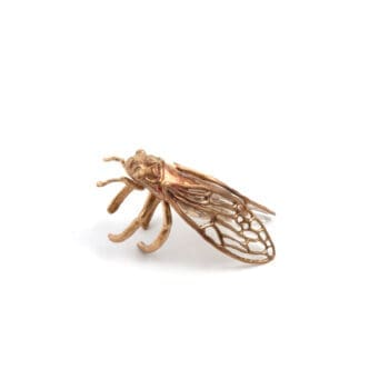 Cantarella Anello Ossido