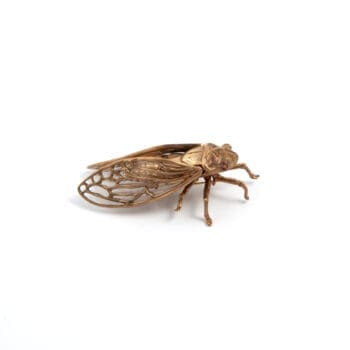 Cantarella Spilla Ossido